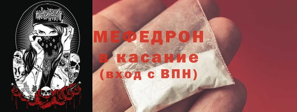 индика Богданович