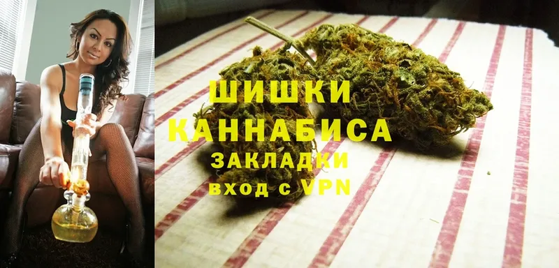 купить наркоту  Лермонтов  Бошки Шишки сатива 